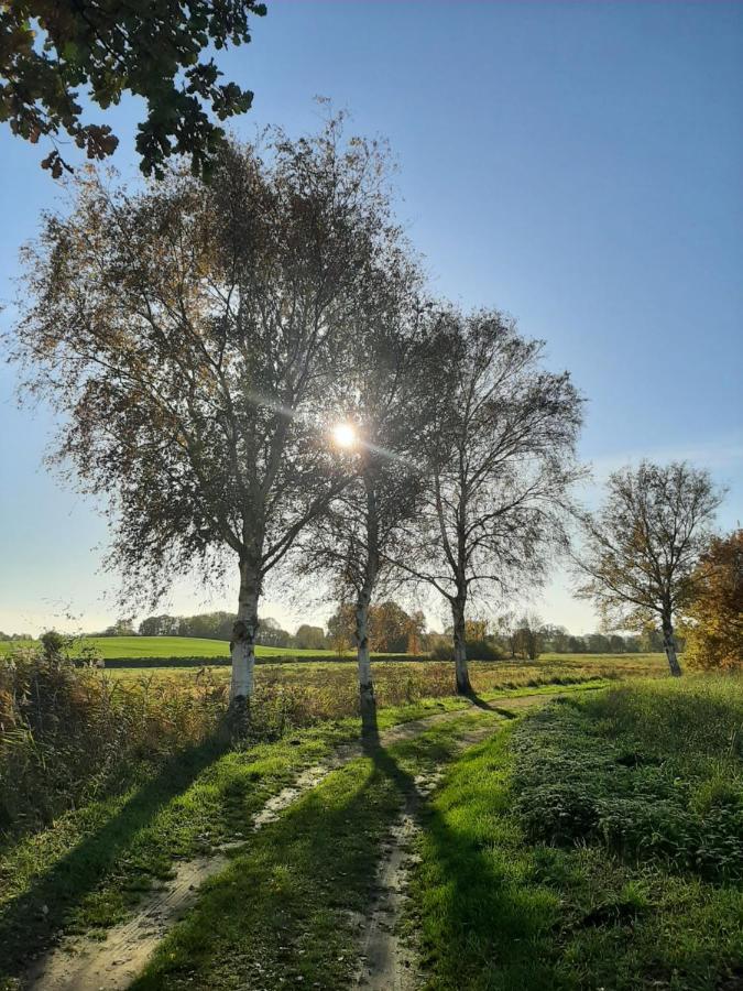 Villa Mv Idyll Dahmen  Esterno foto