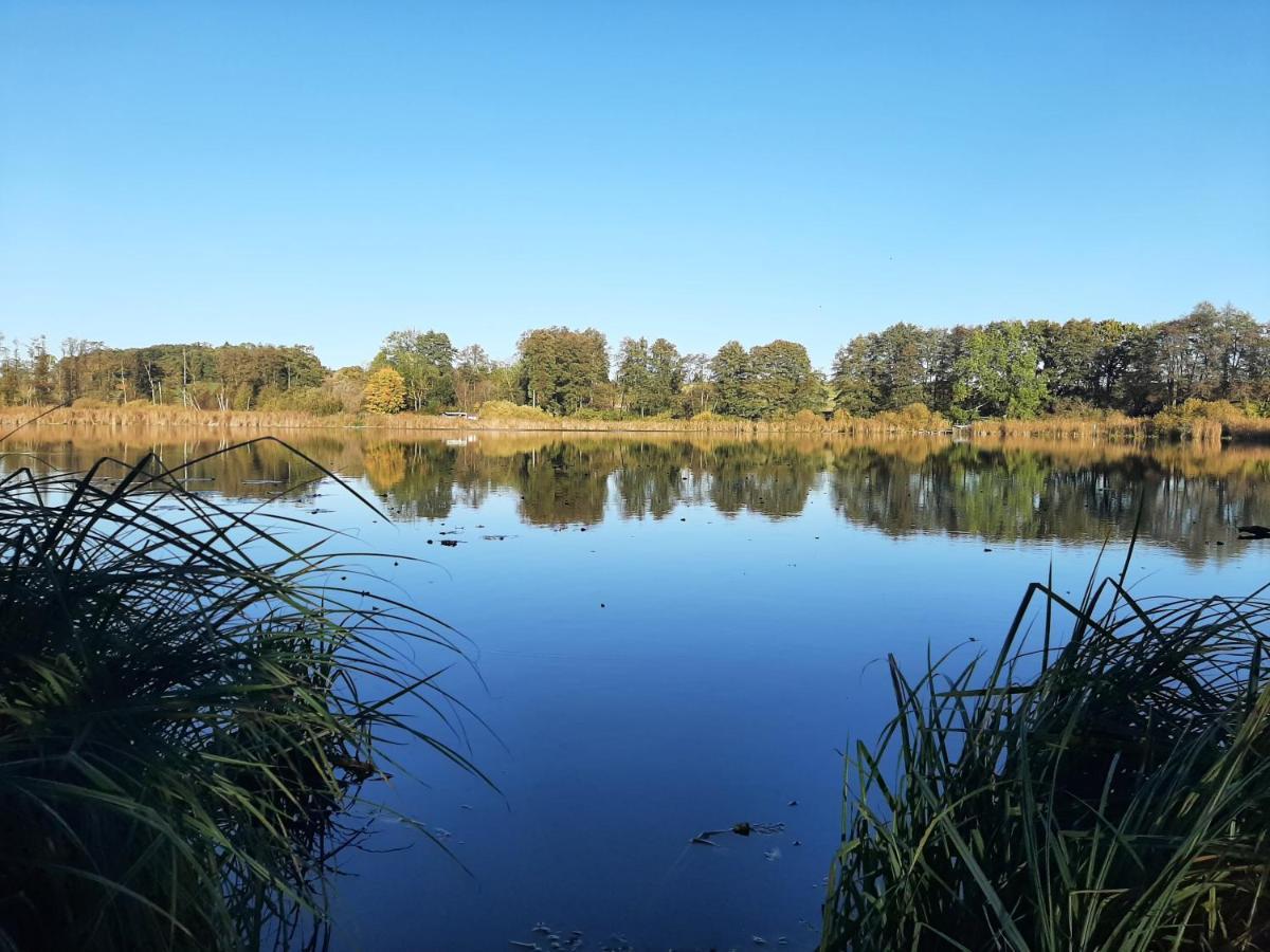 Villa Mv Idyll Dahmen  Esterno foto